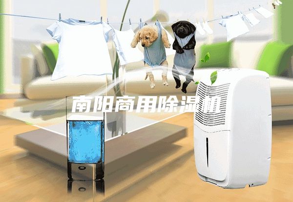 南陽(yáng)商用除濕機(jī)