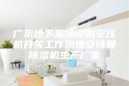 廣東地下室除濕機(jī)空壓機(jī)開(kāi)關(guān)工作原理安詩(shī)曼除濕機(jī)生產(chǎn)廠(chǎng)家