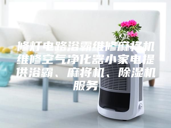 修燈電路浴霸維修麻將機(jī)維修空氣凈化器小家電提供浴霸、麻將機(jī)、除濕機(jī)服務(wù)