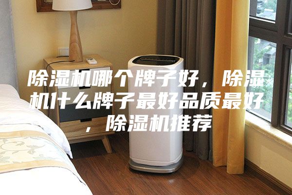 除濕機(jī)哪個(gè)牌子好，除濕機(jī)什么牌子最好品質(zhì)最好，除濕機(jī)推薦