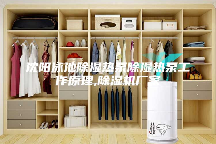 沈陽(yáng)泳池除濕熱泵除濕熱泵工作原理,除濕機(jī)廠家