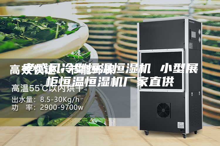 孝感風(fēng)冷型恒溫恒濕機(jī) 小型展柜恒溫恒濕機(jī)廠家直供