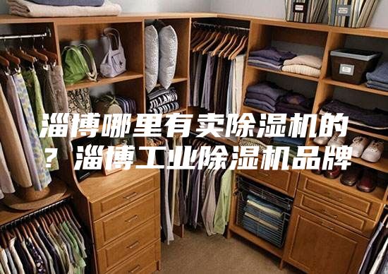 淄博哪里有賣除濕機(jī)的？淄博工業(yè)除濕機(jī)品牌
