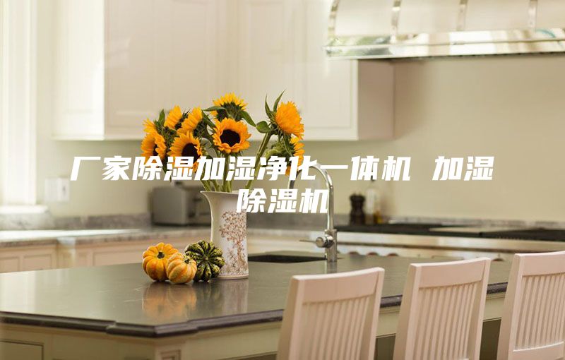 廠(chǎng)家除濕加濕凈化一體機(jī) 加濕除濕機(jī)