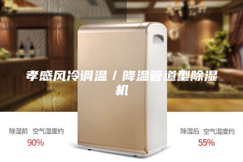 孝感風(fēng)冷調(diào)溫／降溫管道型除濕機
