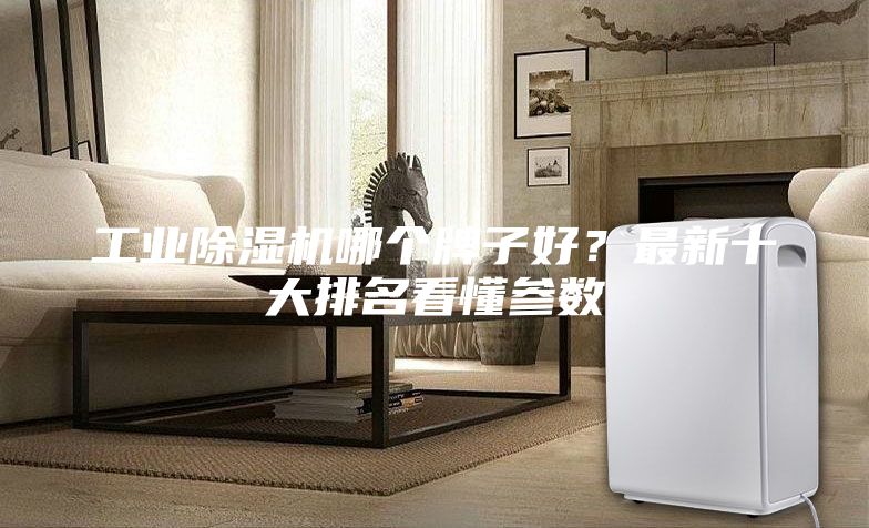工業(yè)除濕機(jī)哪個牌子好？最新十大排名看懂參數(shù)