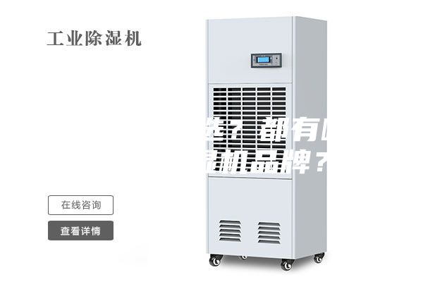 除濕機(jī)怎么選？都有哪些好的除濕機(jī)品牌？