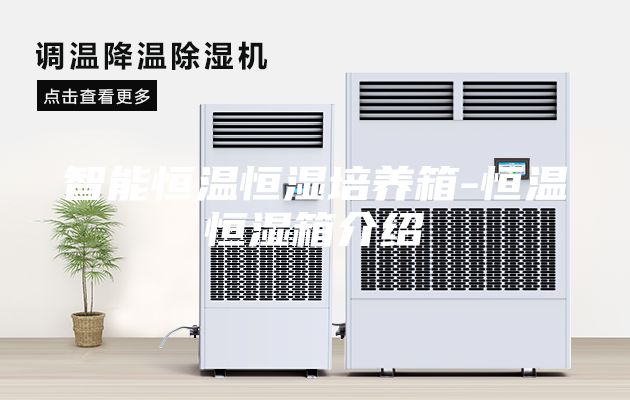 智能恒溫恒濕培養(yǎng)箱-恒溫恒濕箱介紹