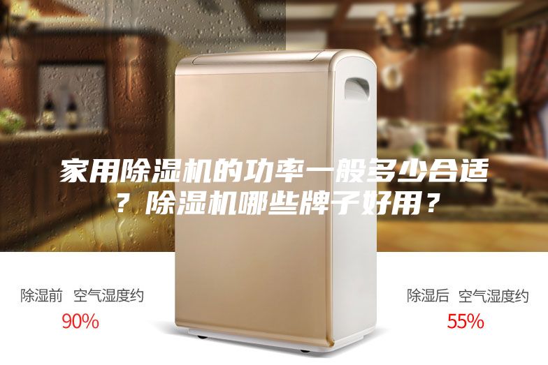 家用除濕機(jī)的功率一般多少合適？除濕機(jī)哪些牌子好用？