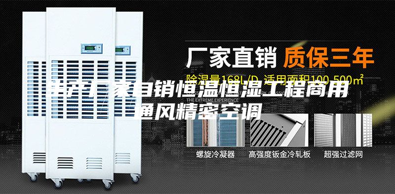 生產(chǎn)廠家自銷恒溫恒濕工程商用通風(fēng)精密空調(diào)