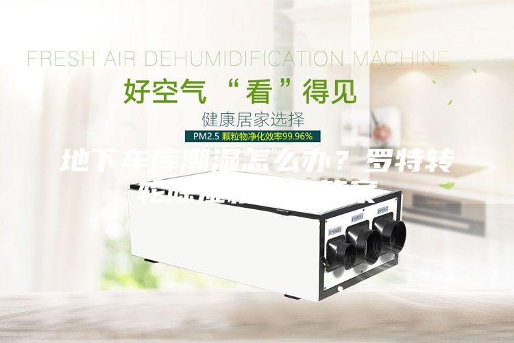 地下車庫潮濕怎么辦？羅特轉(zhuǎn)輪除濕機(jī)給你答案