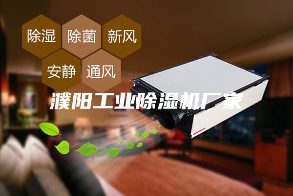濮陽(yáng)工業(yè)除濕機(jī)廠家
