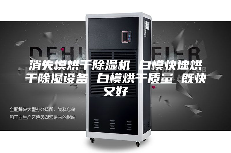 消失模烘干除濕機(jī) 白?？焖俸娓沙凉裨O(shè)備 白模烘干質(zhì)量 既快又好