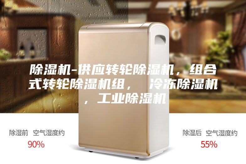 除濕機(jī)-供應(yīng)轉(zhuǎn)輪除濕機(jī)，組合式轉(zhuǎn)輪除濕機(jī)組， 冷凍除濕機(jī)，工業(yè)除濕機(jī)