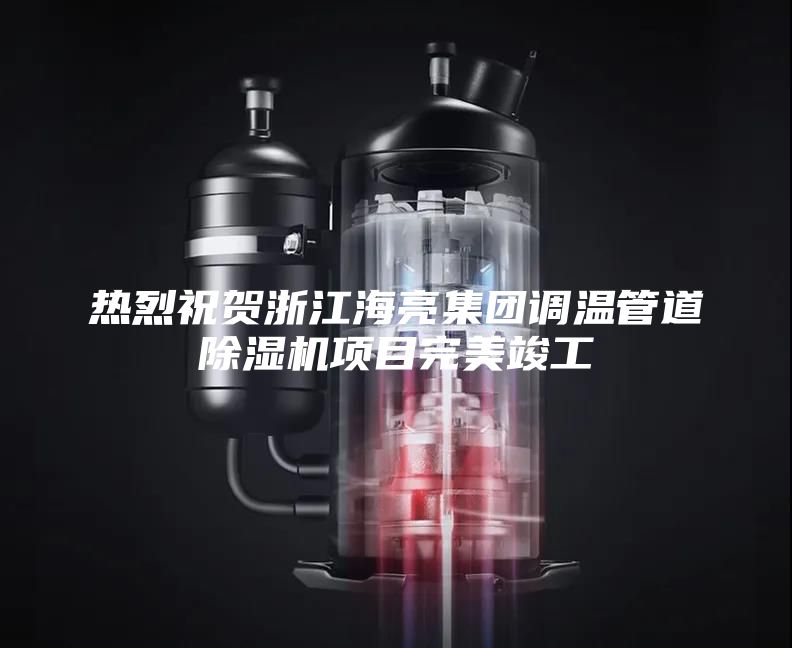 熱烈祝賀浙江海亮集團調(diào)溫管道除濕機項目完美竣工