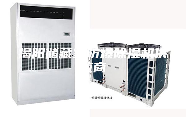 揭陽儲藏室防爆除濕機供應(yīng)商