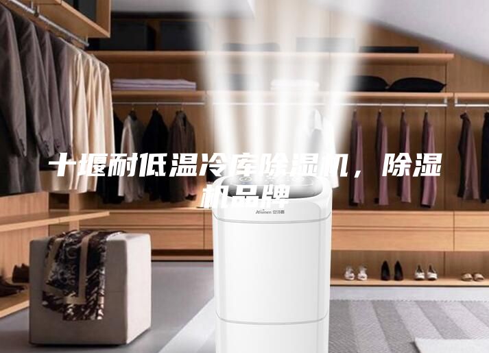 十堰耐低溫冷庫除濕機，除濕機品牌
