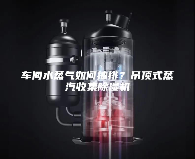 車間水蒸氣如何抽排？吊頂式蒸汽收集除濕機(jī)