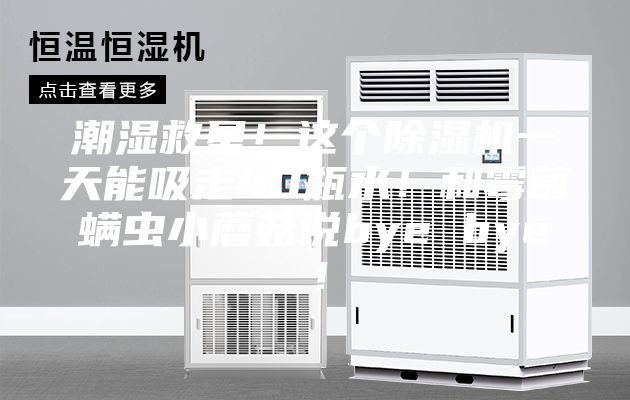 潮濕救星！這個除濕機一天能吸走40瓶水！和霉菌螨蟲小蘑菇說bye bye！