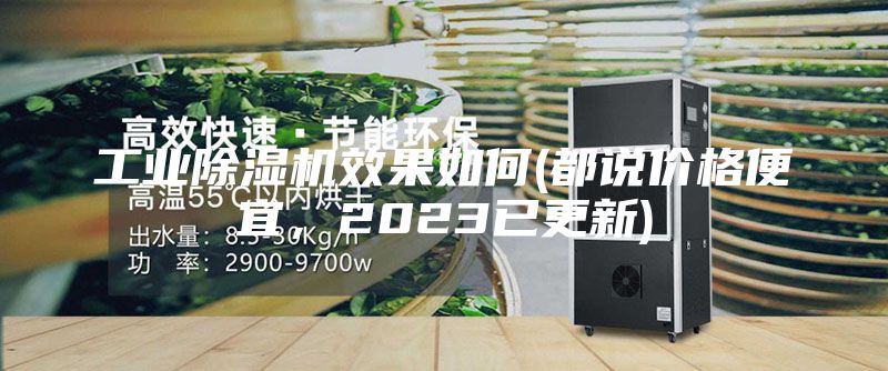工業(yè)除濕機效果如何(都說價格便宜，2023已更新)