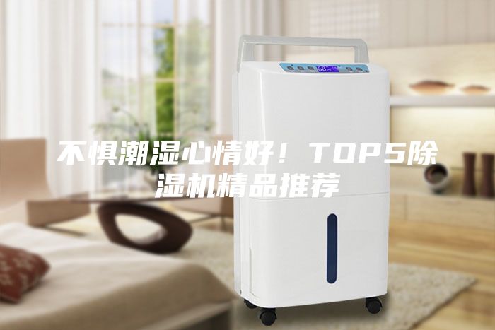 不懼潮濕心情好！TOP5除濕機精品推薦
