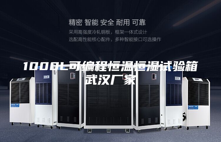 1000L可編程恒溫恒濕試驗(yàn)箱武漢廠(chǎng)家
