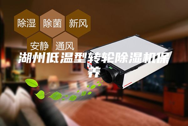 湖州低溫型轉輪除濕機保養(yǎng)