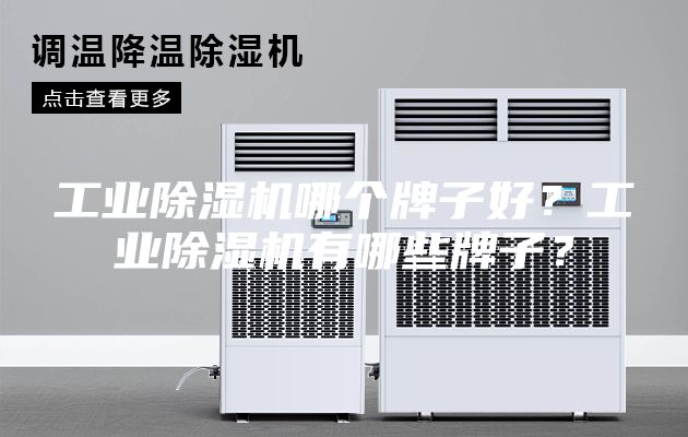 工業(yè)除濕機(jī)哪個(gè)牌子好？工業(yè)除濕機(jī)有哪些牌子？