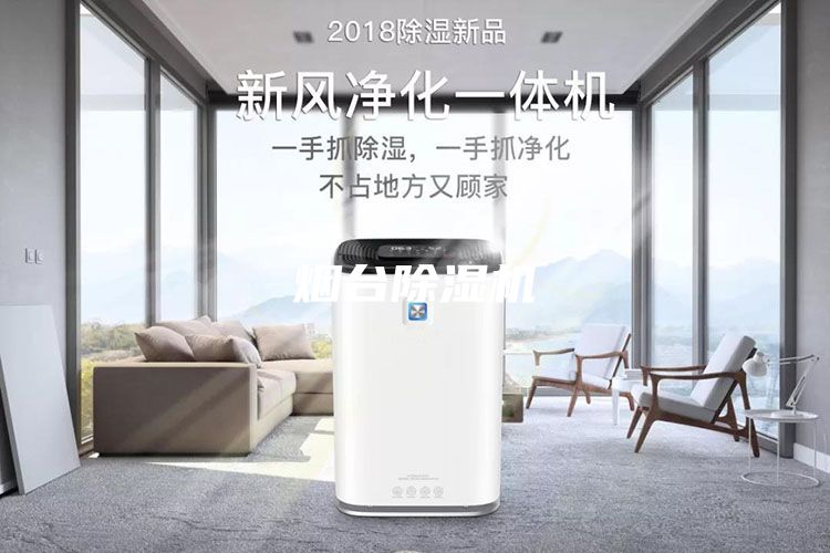 煙臺(tái)除濕機(jī)
