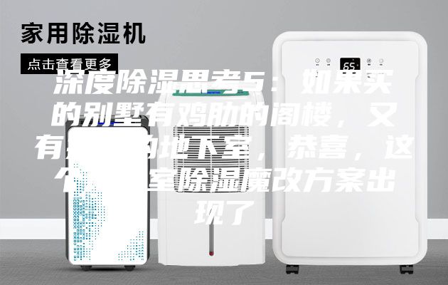 深度除濕思考5：如果買的別墅有雞肋的閣樓，又有操心的地下室，恭喜，這個(gè)地下室除濕魔改方案出現(xiàn)了