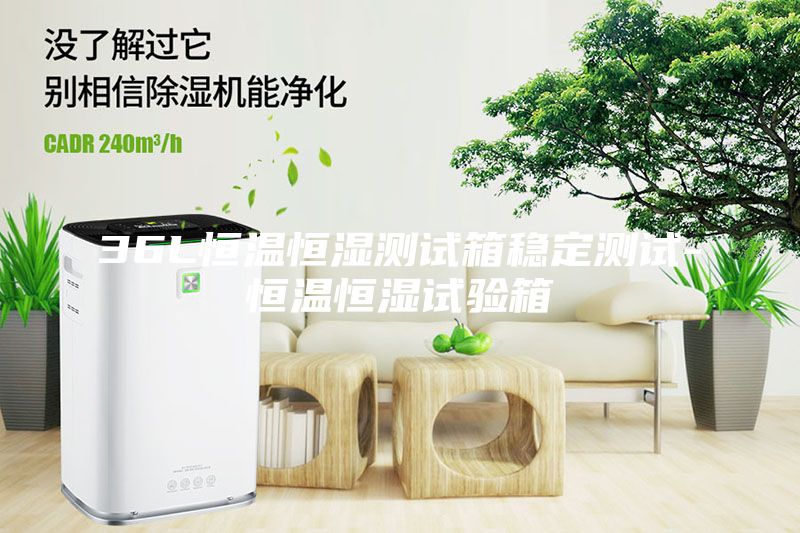 36L恒溫恒濕測試箱穩(wěn)定測試-恒溫恒濕試驗(yàn)箱