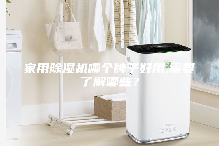 家用除濕機(jī)哪個(gè)牌子好用,需要了解哪些？