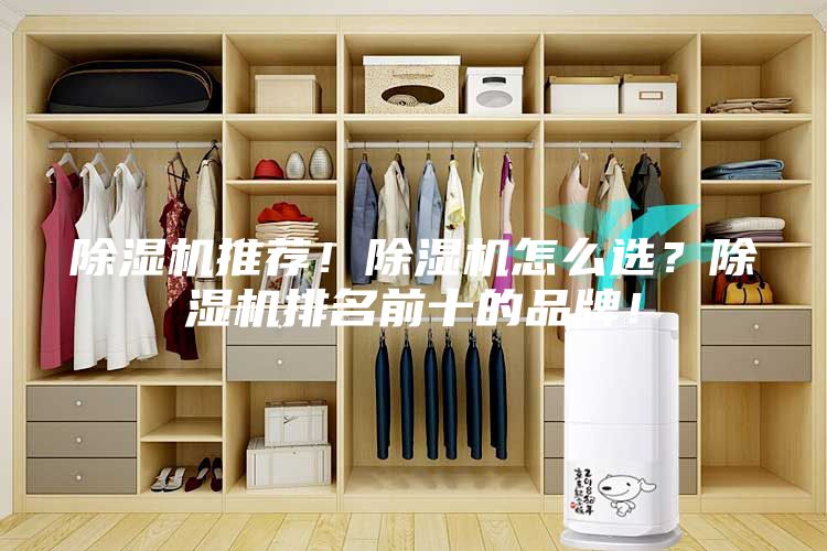 除濕機推薦！除濕機怎么選？除濕機排名前十的品牌！