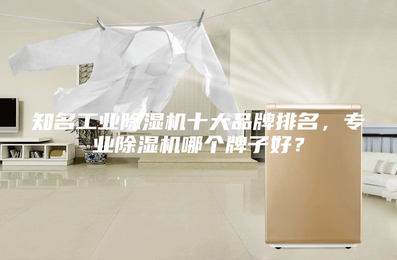 知名工業(yè)除濕機十大品牌排名，專業(yè)除濕機哪個牌子好？