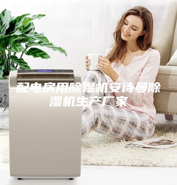 配電房用除濕機(jī)安詩(shī)曼除濕機(jī)生產(chǎn)廠家