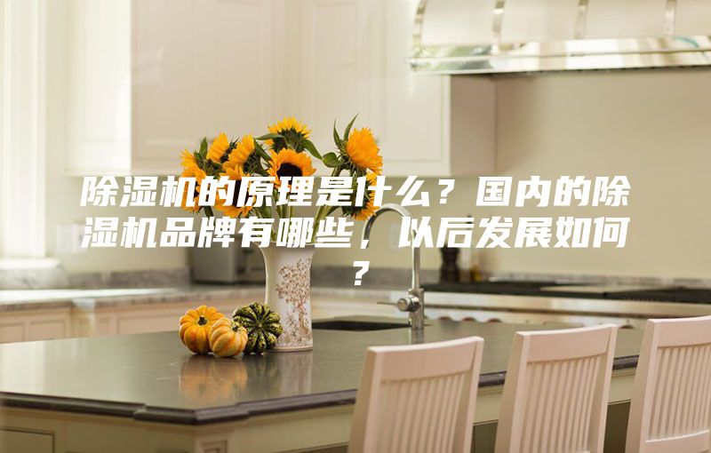 除濕機的原理是什么？國內的除濕機品牌有哪些，以后發(fā)展如何？