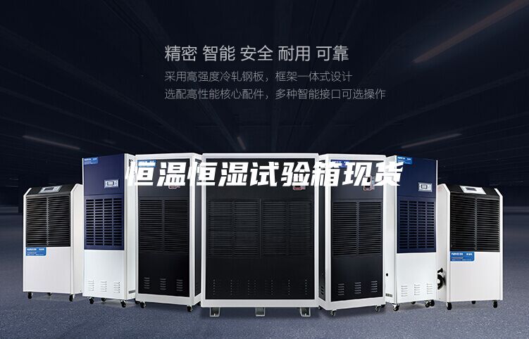 恒溫恒濕試驗箱現(xiàn)貨