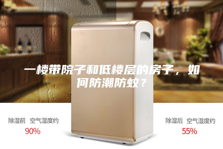 一樓帶院子和低樓層的房子，如何防潮防蚊？