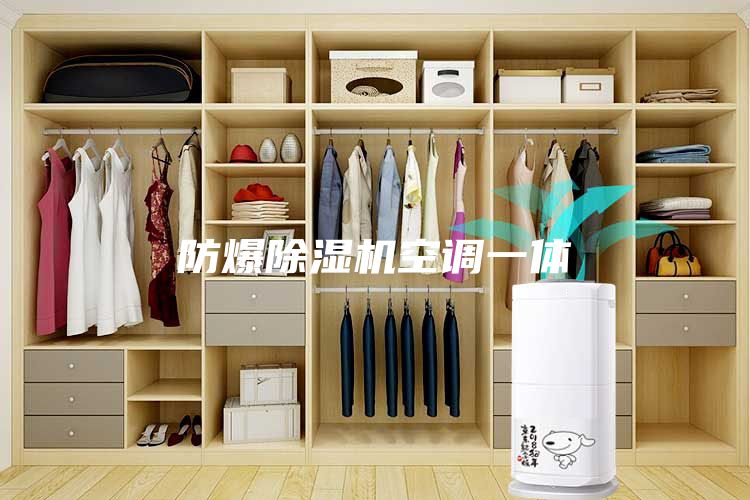 防爆除濕機空調(diào)一體