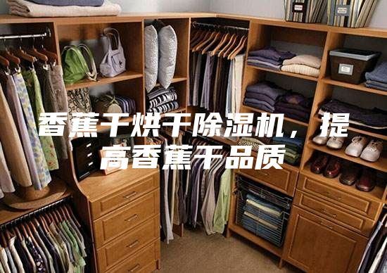 香蕉干烘干除濕機(jī)，提高香蕉干品質(zhì)