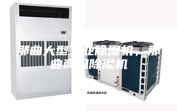 那曲大型工業(yè)除濕機(jī)，那曲商用除濕機(jī)