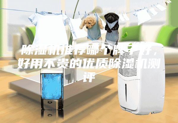 除濕機(jī)推薦哪個(gè)牌子好，好用不貴的優(yōu)質(zhì)除濕機(jī)測(cè)評(píng)