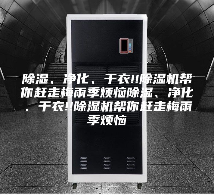 除濕、凈化、干衣!!除濕機(jī)幫你趕走梅雨季煩惱除濕、凈化、干衣!!除濕機(jī)幫你趕走梅雨季煩惱