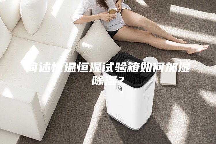 簡(jiǎn)述恒溫恒濕試驗(yàn)箱如何加濕除濕？