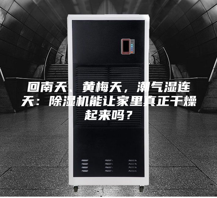 回南天、黃梅天，潮氣濕連天：除濕機(jī)能讓家里真正干燥起來(lái)嗎？