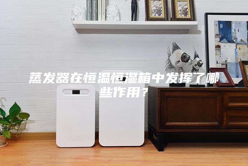 蒸發(fā)器在恒溫恒濕箱中發(fā)揮了哪些作用？