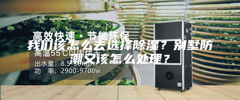 我們?cè)撛趺慈ミx擇除濕？別墅防潮又該怎么處理？