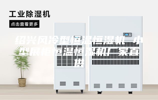 紹興風(fēng)冷型恒溫恒濕機 小型展柜恒溫恒濕機廠家直供