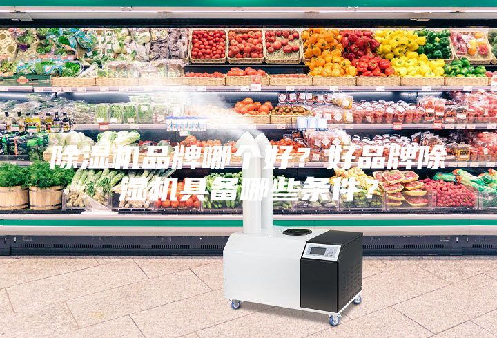 除濕機品牌哪個好？好品牌除濕機具備哪些條件？