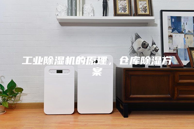 工業(yè)除濕機的原理，倉庫除濕方案